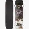 Globe Varsity 8″ Komplettboard (hawaii) 16